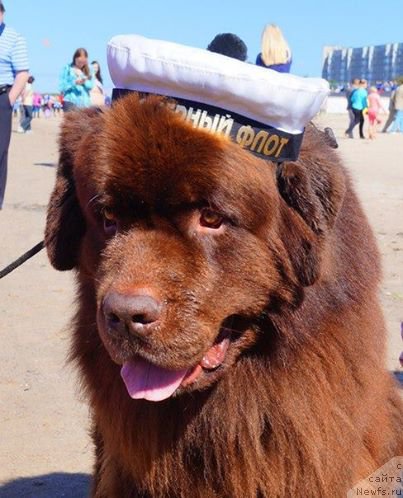 Фотография № 188883