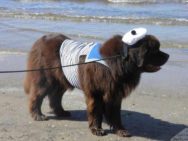 Фотография № 188886