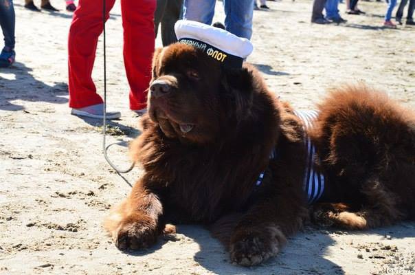 Фотография № 188889