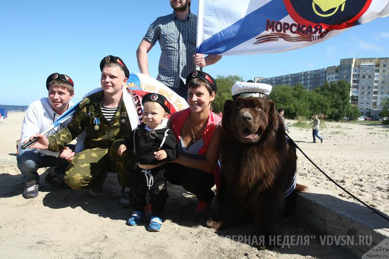 Фотография № 188891