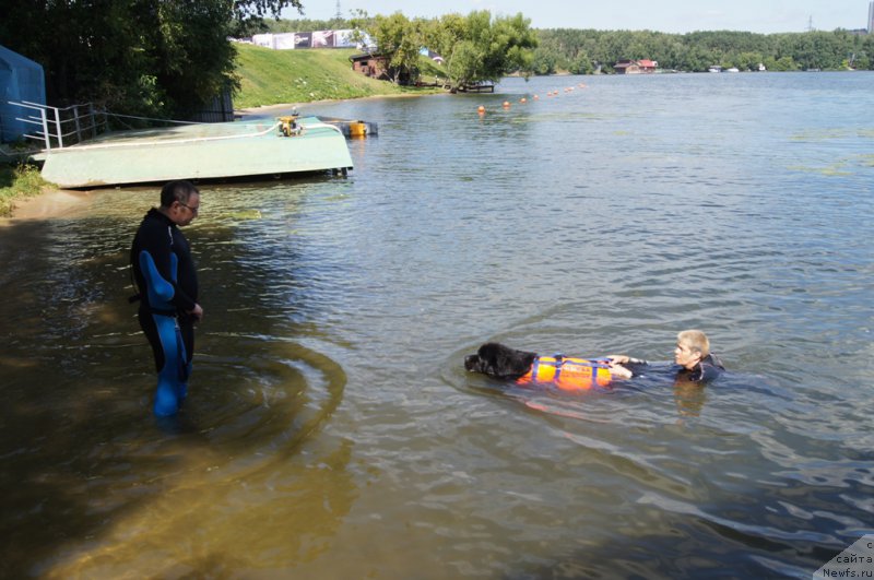 Фотография № 188954