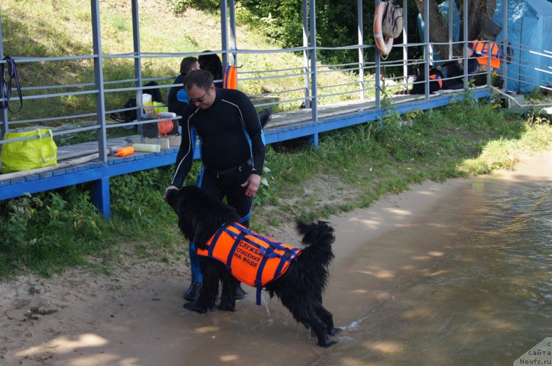 Фотография № 188955