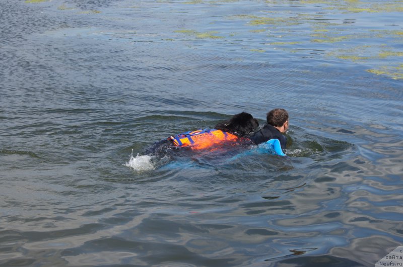 Фотография № 188956