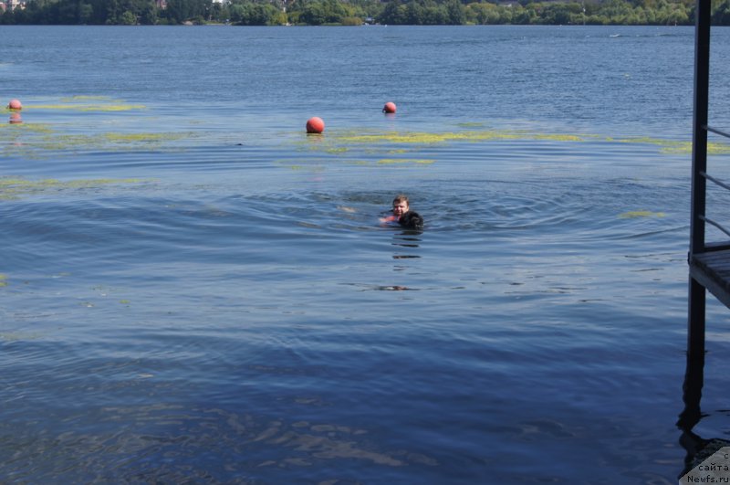 Фото: Александр Пономарёв, 