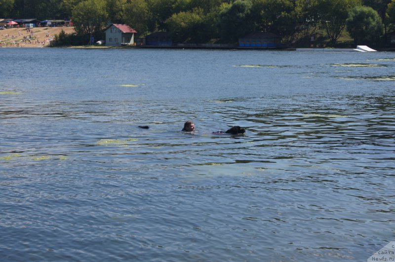 Фотография № 188960