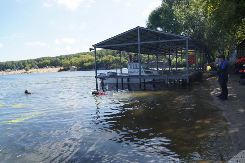 Фото: Елена Богданова, ньюфаундленд Ангел Хранитель Граффидд (Angel Khranitel Gruffidd)