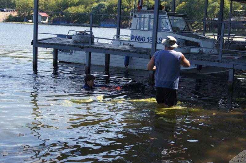 Фотография № 188969