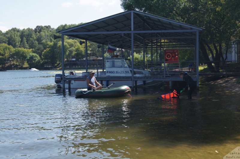 Фото: Александр Бурмистров, ньюфаундленд Топтыжка Галатея Морская Нереида (Toptyzhka Galatea Morskaya Nereida), Антонина Чигвинцева
