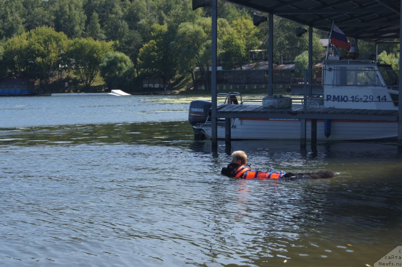 Фотография № 188985