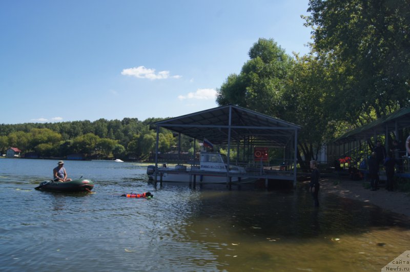 Фотография № 188989