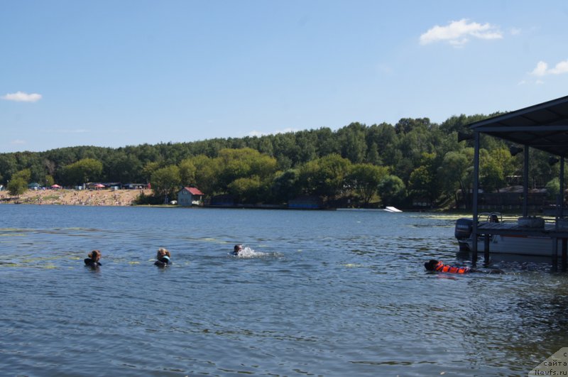 Фотография № 188990