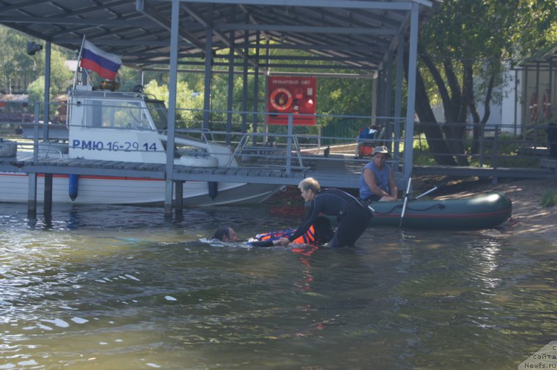 Фото: Лариса Кутина, ньюфаундленд Белкондер-Клаб Угли-Бугли (Belkonder-Club Ugli-Boogli)