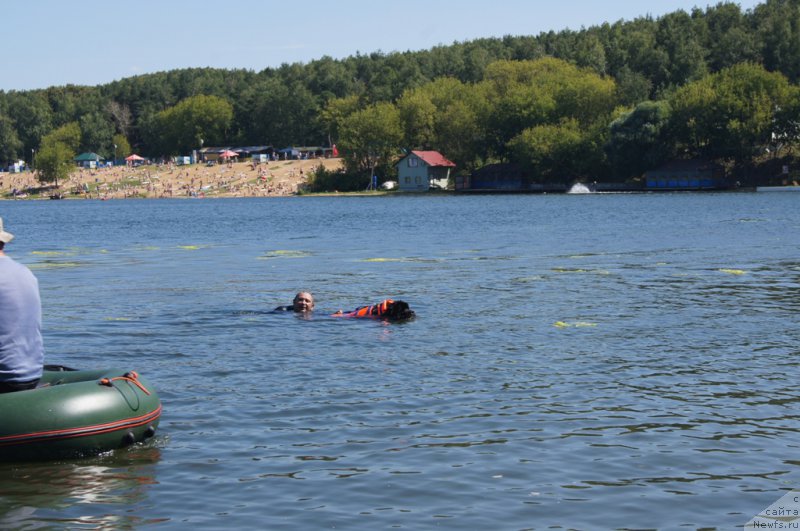 Фотография № 188998