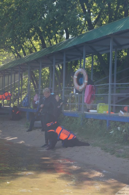 Фотография № 189000