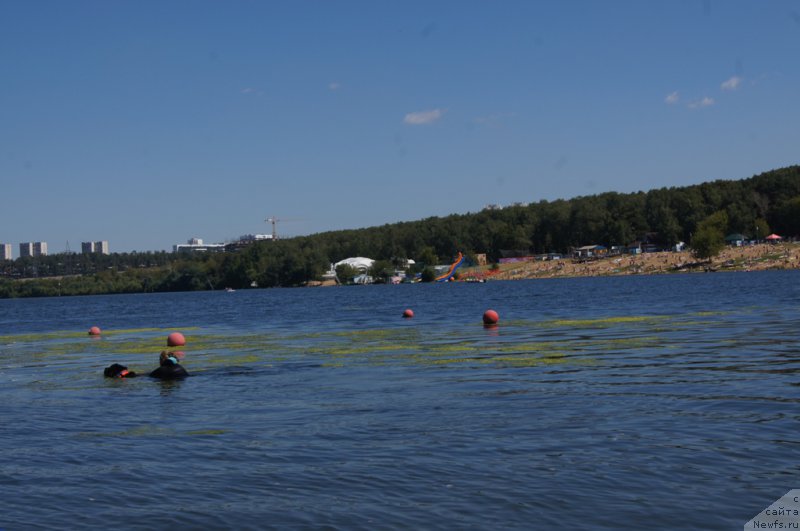 Фотография № 189003