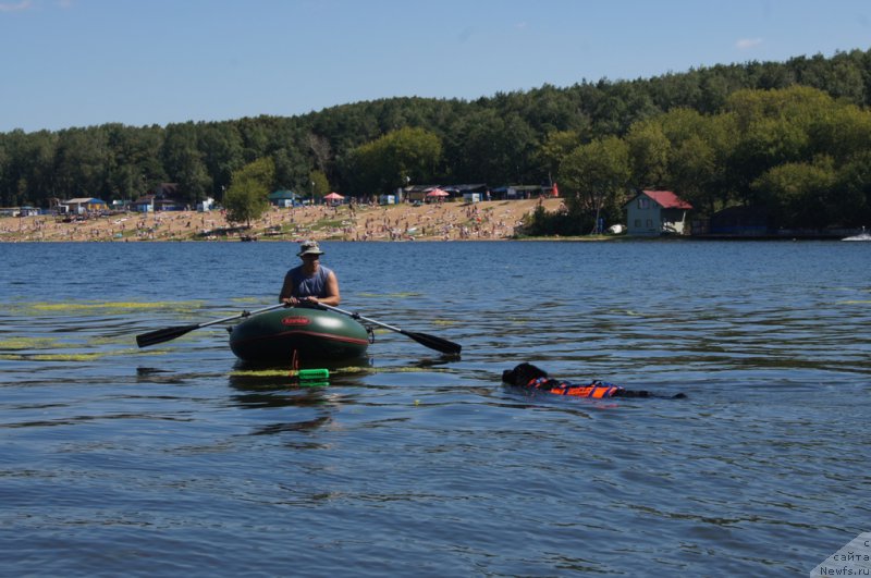 Фотография № 189005