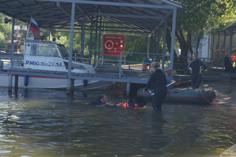 Фото: Андрей Васильцов, ньюфаундленд Топтыжка Герой Нашего Времени (Toptyzhka Geroy Nashego Vremeni), Антонина Чигвинцева