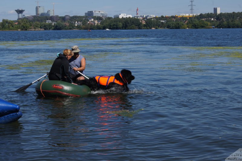 Фотография № 189011