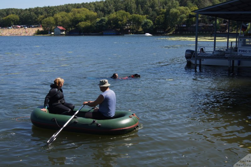 Фотография № 189012