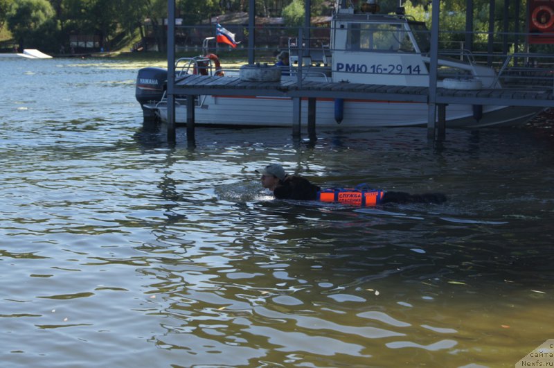 Фотография № 189013