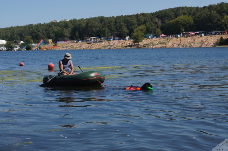 Фотография № 189016