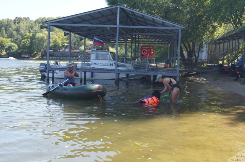 Фотография № 189017