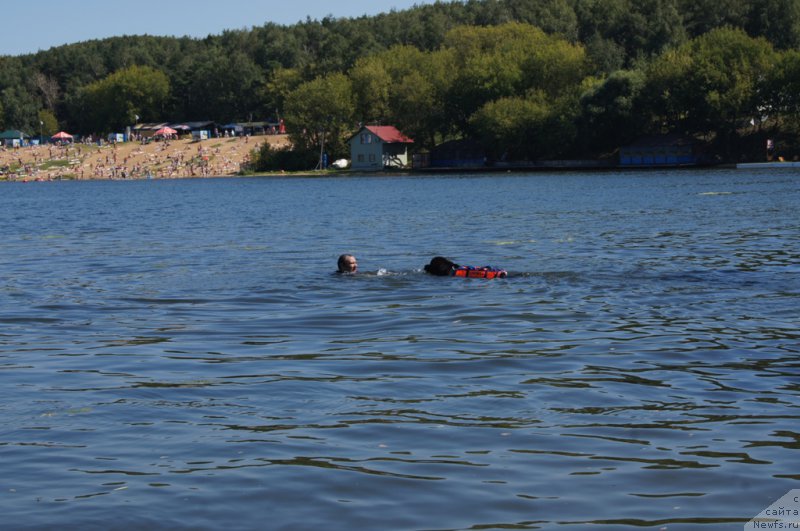 Фотография № 189019