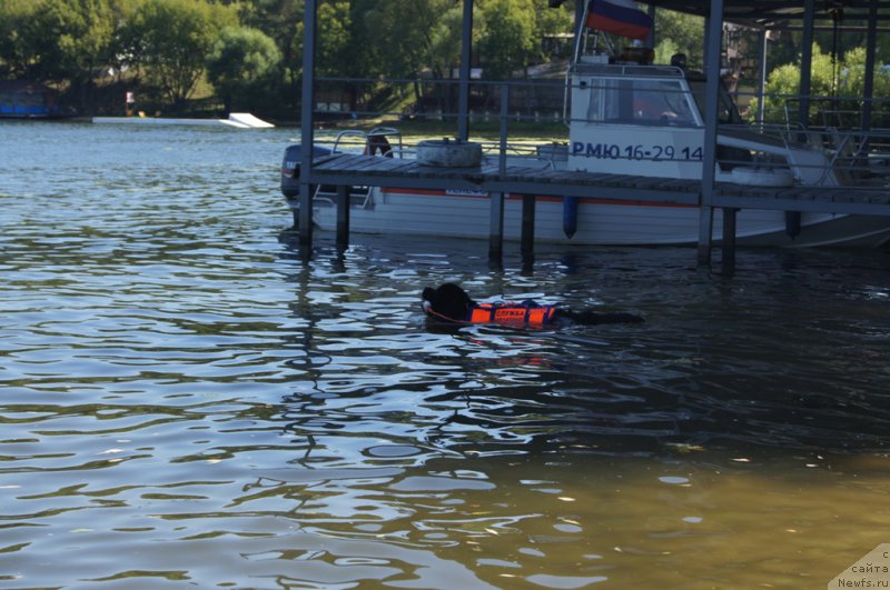 Фотография № 189020