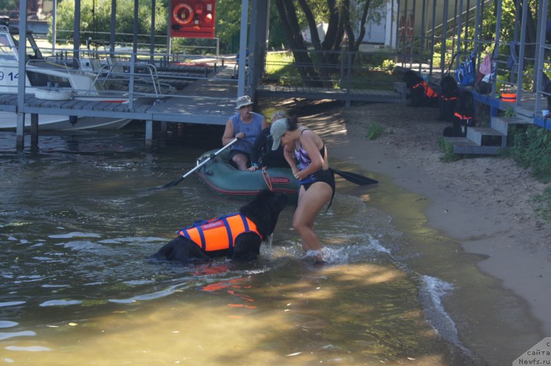 Фотография № 189023