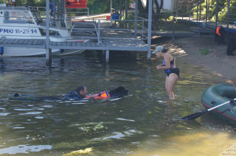 Фотография № 189026