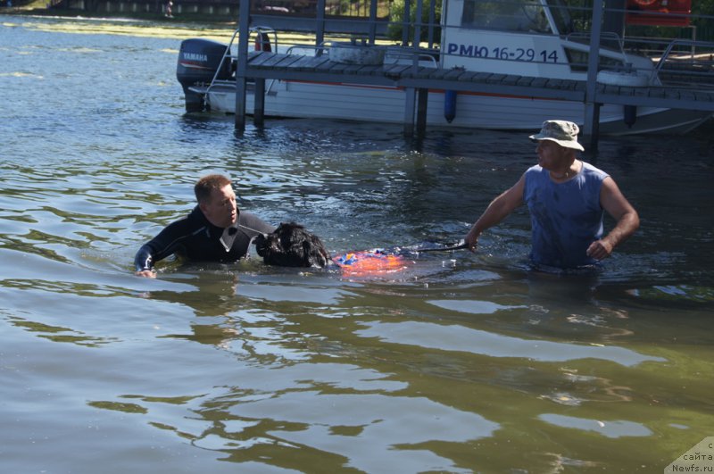 Фотография № 189029