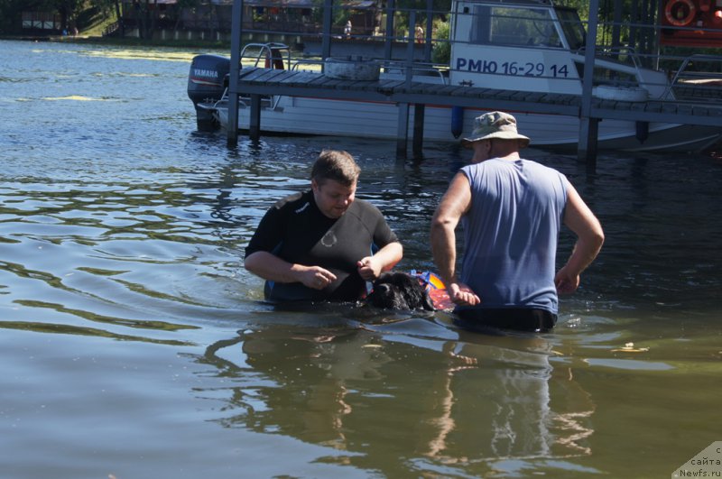 Фото: Александр Пономарёв, 
