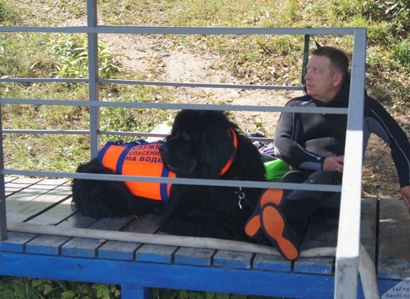 Фотография № 189039