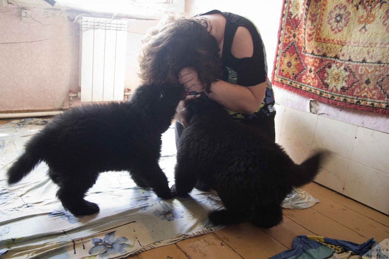 Фотография № 189069