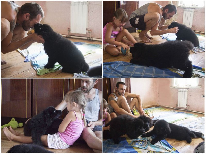 Фотография № 189070