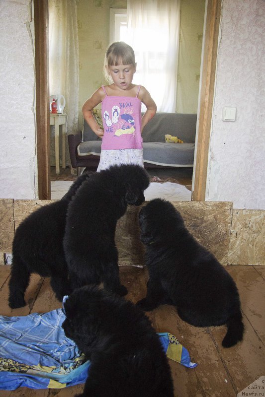 Фотография № 189076