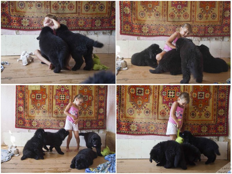 Фотография № 189077