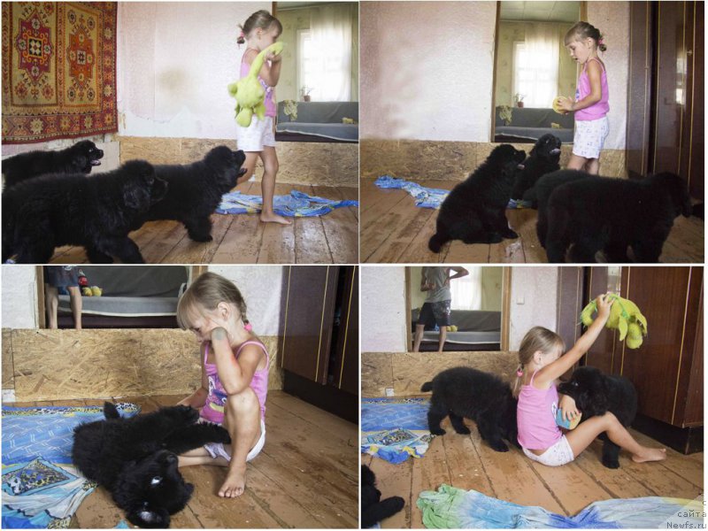 Фотография № 189078