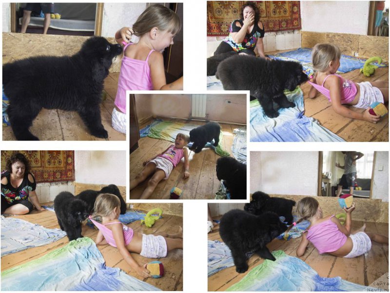 Фотография № 189079