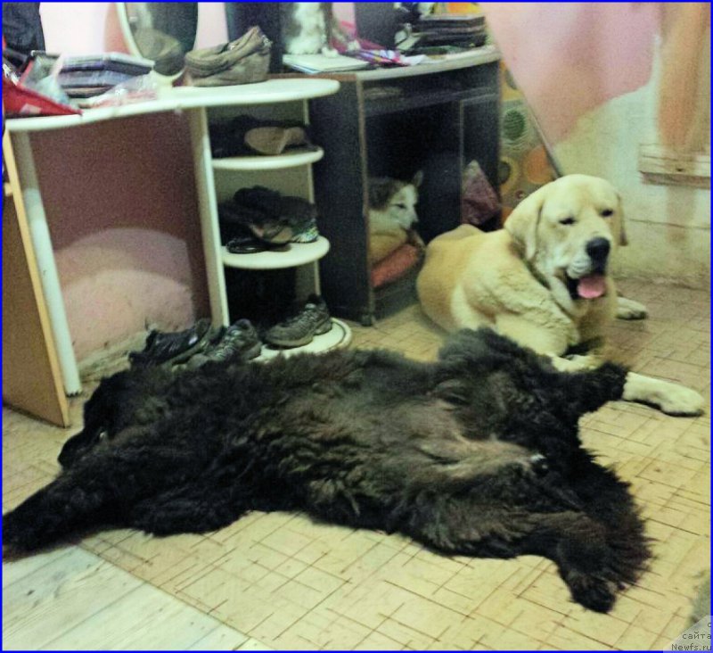 Фотография № 189082