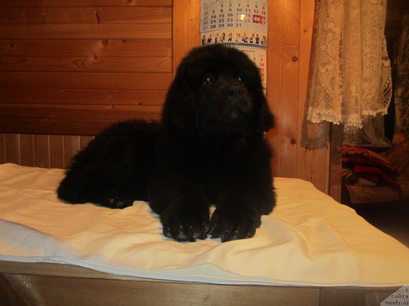 Фото: Наталья Смазчикова