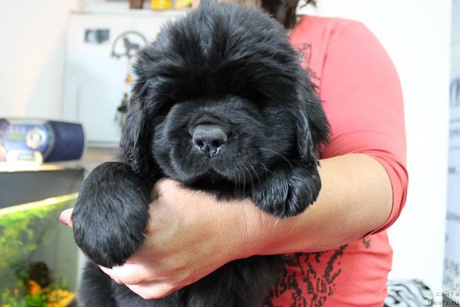 Фотография № 189090