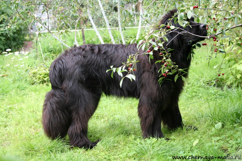 Фотография № 189112