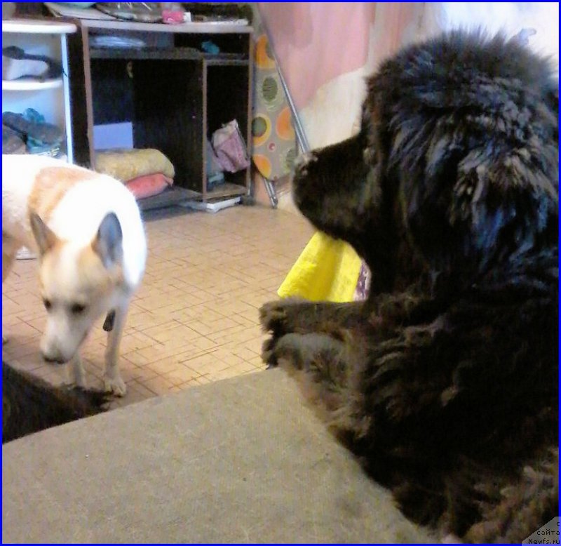 Фотография № 189123