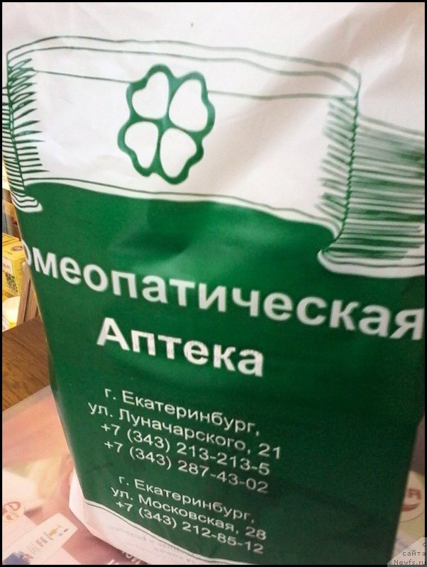 Фотография № 189156