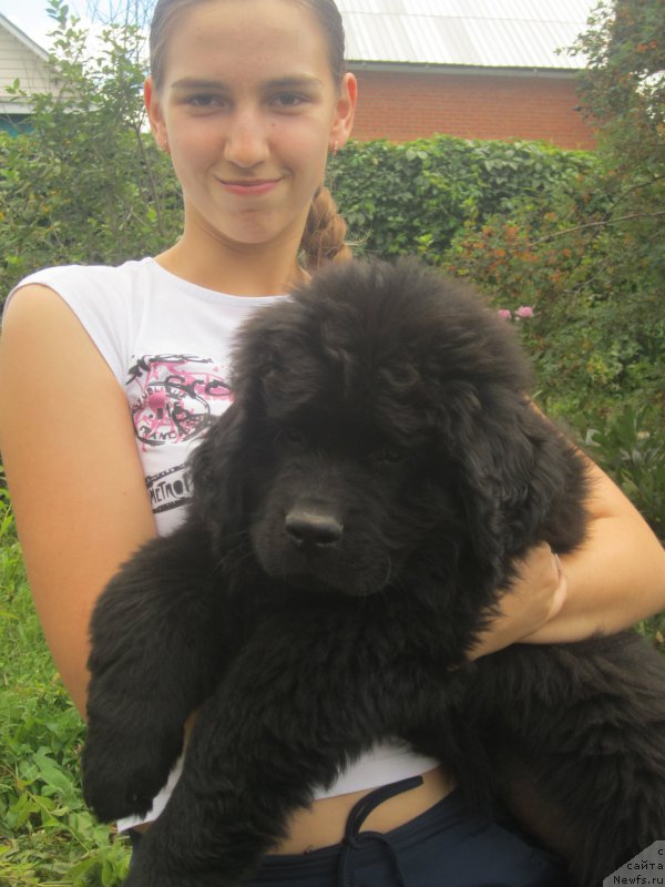 Фото: Наталья Смазчикова