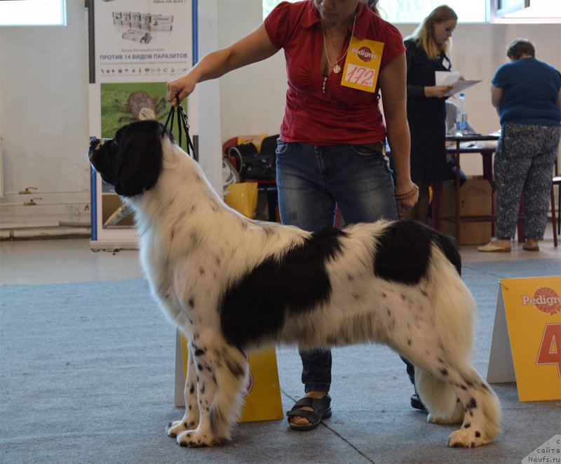 Фотография № 189181