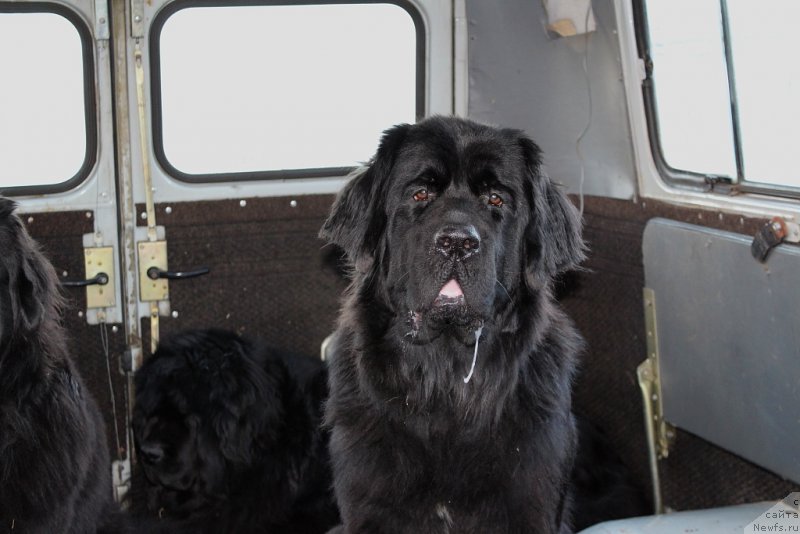 Фотография № 189211