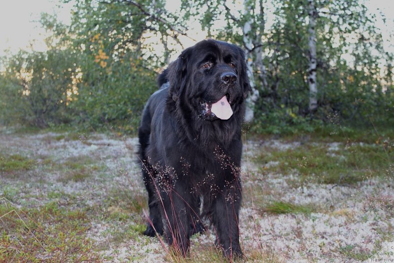 Фотография № 189212