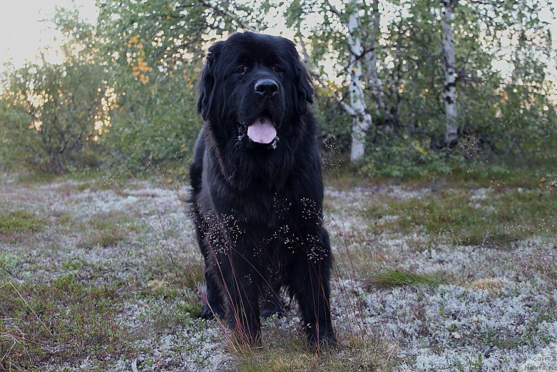 Фотография № 189214